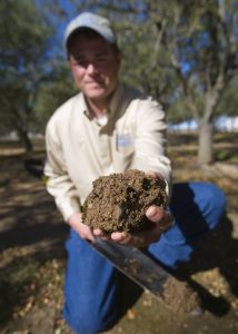soil moisture sample